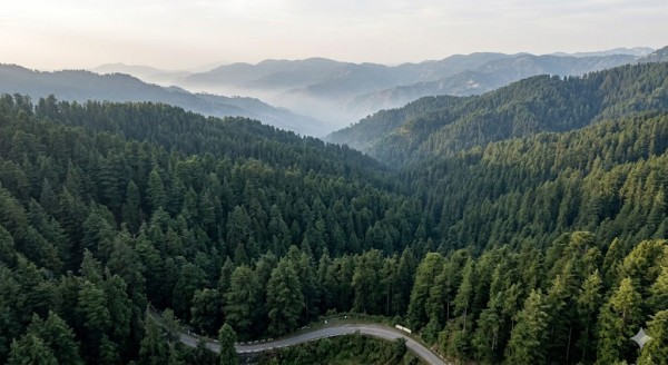 Green Valley shimla