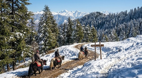 Kufri shimla